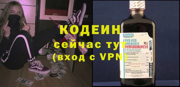 дживик Богородск