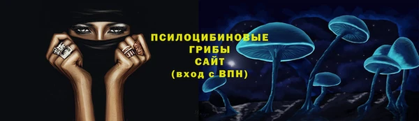 спайс Арсеньев